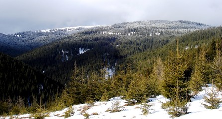 mountain in winter