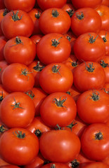 tomaten