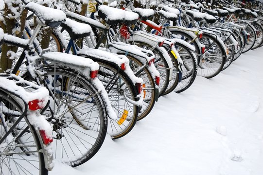 Fototapeta bikes in snow
