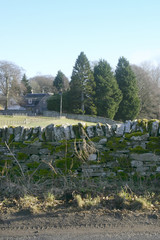 Fototapeta premium countryside