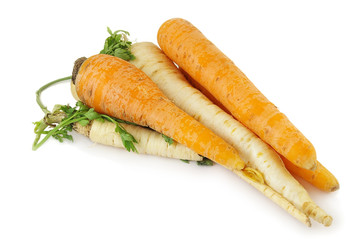 carrots and parsnips