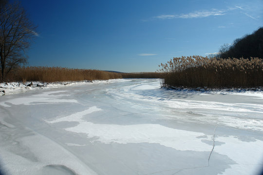 frozen marsh