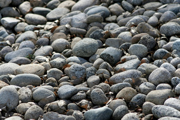 rocks