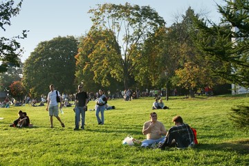 family rest in park