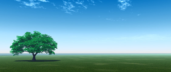 green_tree_p