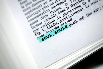 définition de "seul(e)" dans un dictionnaire