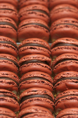 macaron au chocolat