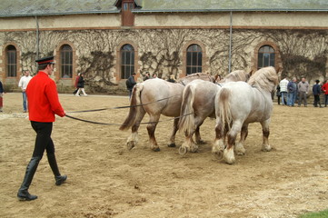 les trois postier