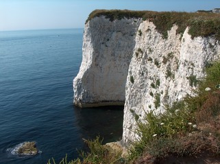kreidefelsen bei studland, bournemouth