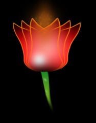 flower