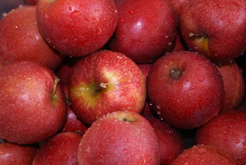 apfel 1