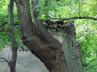 lime kiln fram house - top corner view