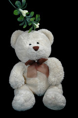 mistletoe and cute teddy