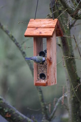 mangeoire de jardin