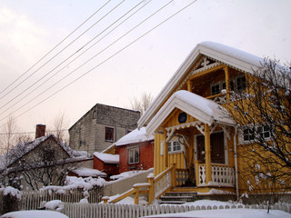 winter landscape