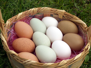 farm fresh eggs in easter basket