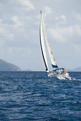 Naklejka premium sailing