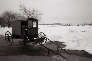Fototapeta na wymiar Amisze