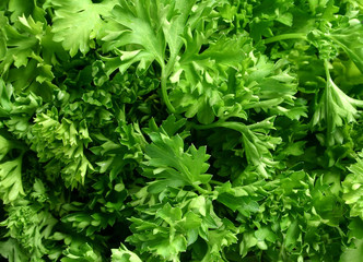parsley