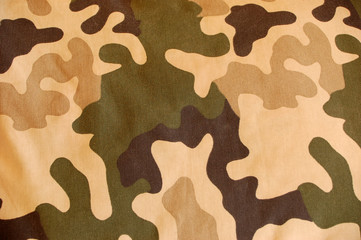 camouflage pattern #5