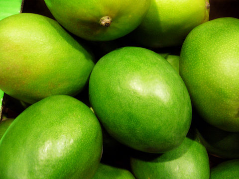 mangue