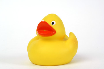 yellow plastic duck