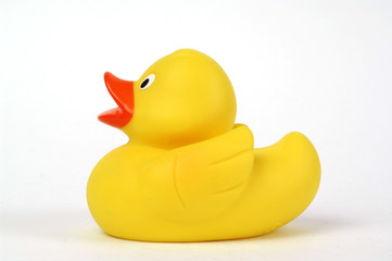 yellow plastic duck