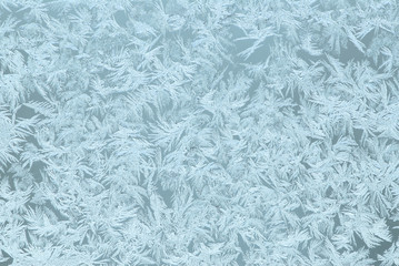 frost pattern