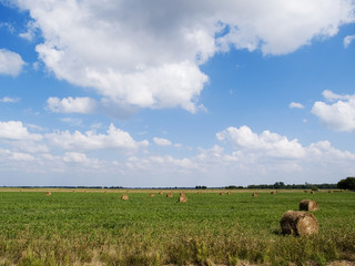 hay bales in field