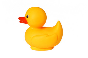 rubber duck