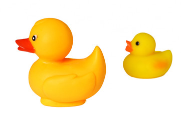rubber ducks