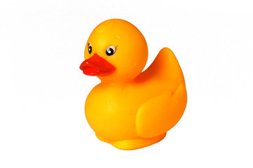 rubber duck
