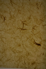 yellow paper background