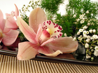 bouquet of pink orchids and white flowers on plate