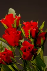 Gardinen rote Rosen © Martin Garnham