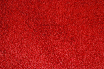 texture of carpet