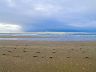 beach with blue sky