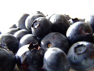 blueberry 5