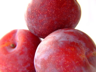 plum pile 4