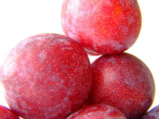 plum pile 3