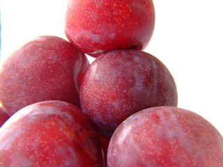 plum pile 1