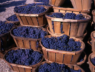 wedges with blue grapes