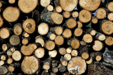 wood logs