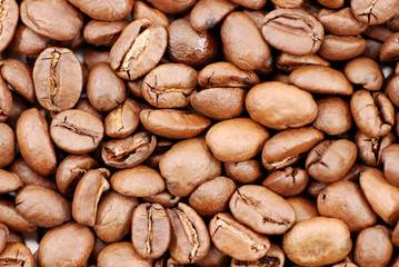 kaffeebohnen coffee beans
