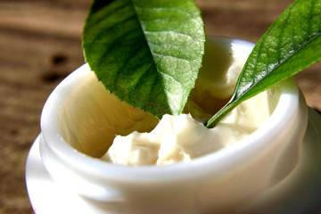 leaves in cream
