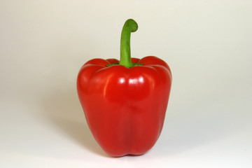 roter paprika
