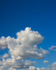 Fototapeta na wymiar jasne niebo # 3 - widok pionowy