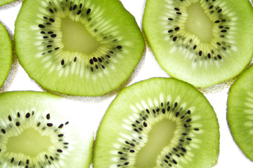 img_1523kiwis