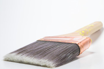 paint brush bristles