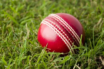 Papier Peint photo Sports de balle cricket ball on grass